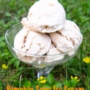 Pumpkin Spice Ice cream {2 Ingredients}